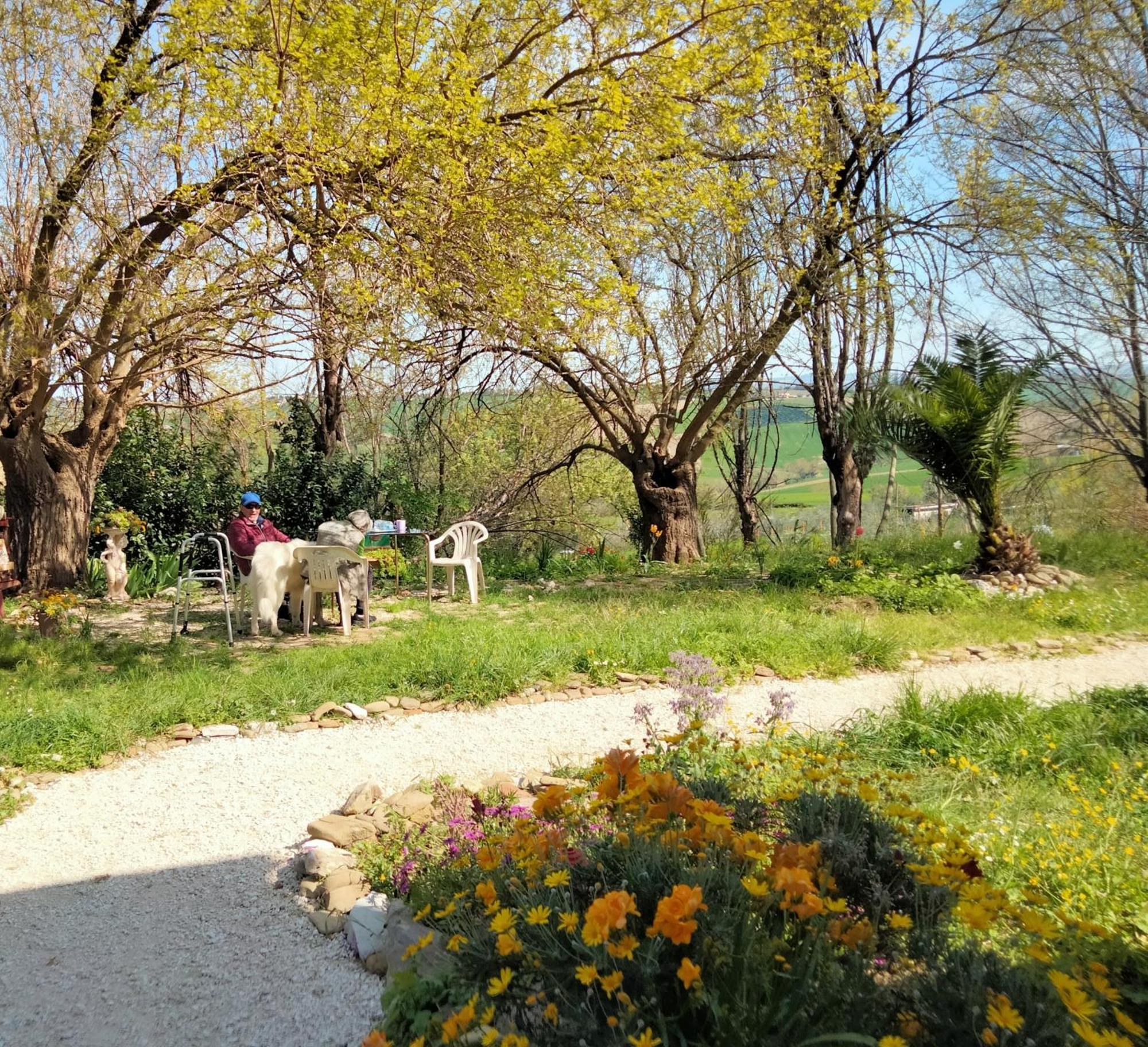 Agriturismo Campo Aperto Belvedere Ostrense Exterior foto